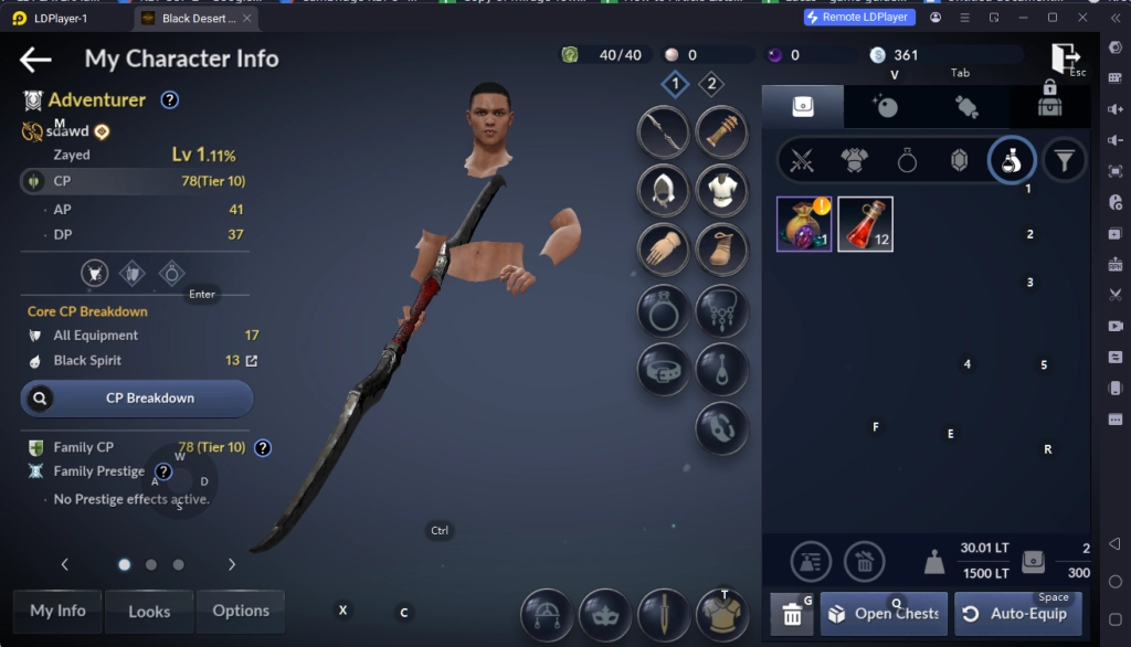 How to Download and Play Black Desert Mobile on PC - Beginners Guide