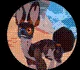 All Creatures in Creatures of Sonaria – Creatures Tier List March 2025