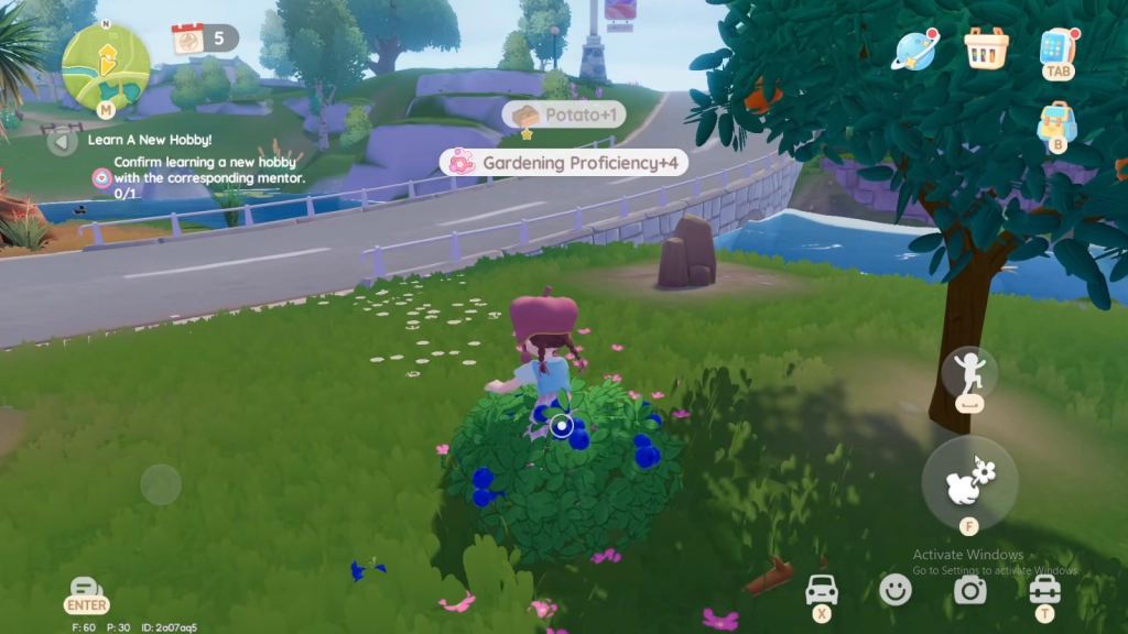 Amazing Forest for Exploration Amazing Forest for Exploration