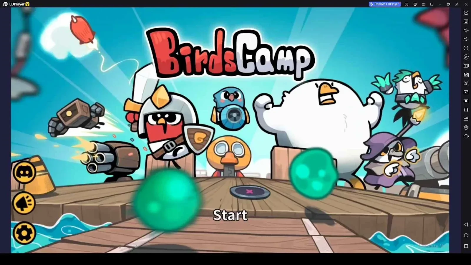 Birds Camp Codes