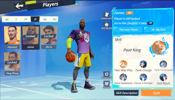 LeBron James 