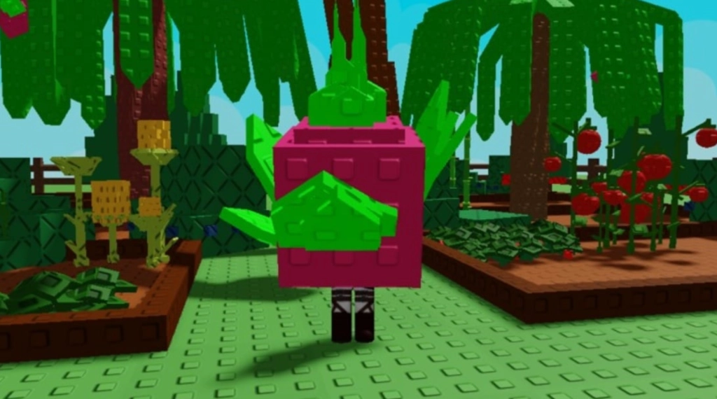 Dragon Fruit Grow a Garden