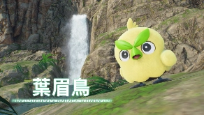 《寶可夢 風與波》  與寶可夢一起越過大自然的重重難關吧！