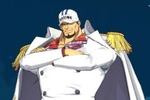 Fleet Admiral Akainu Fleet Admiral Akainu