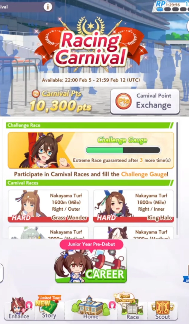 What is Racing Carnival Event What is Racing Carnival Event