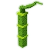 Lucky Bamboo