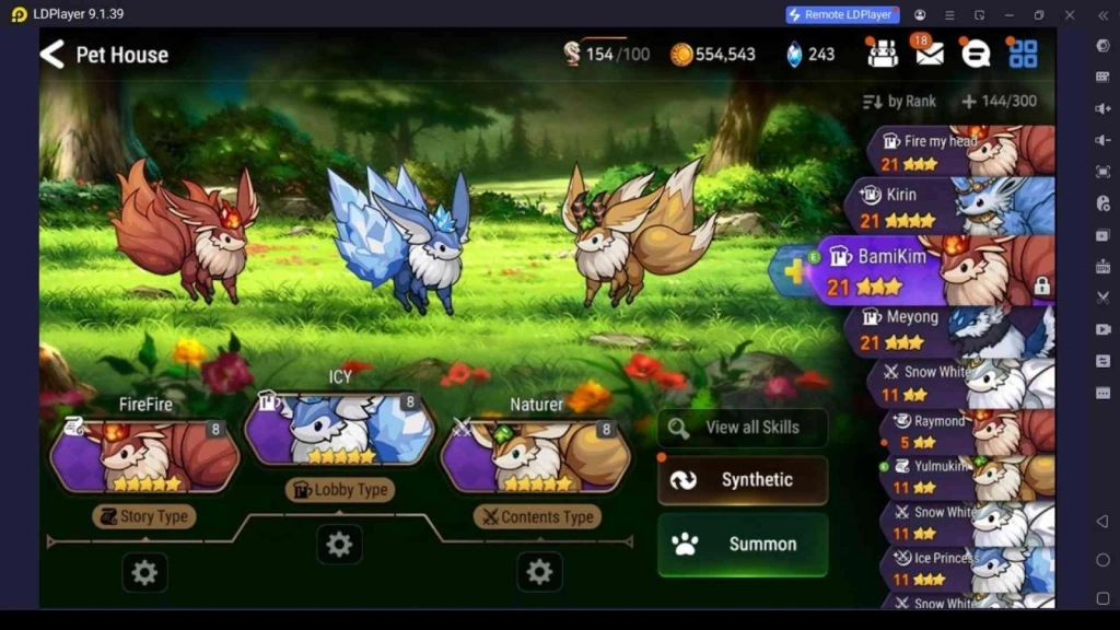 Epic Seven Pet System