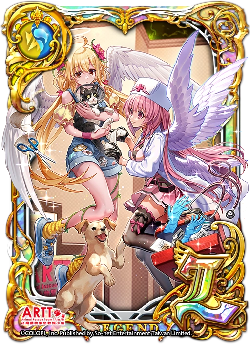 《問答RPG 魔法使與黑貓維茲》歡慶11週年！邀請玩家一起來守護動物！