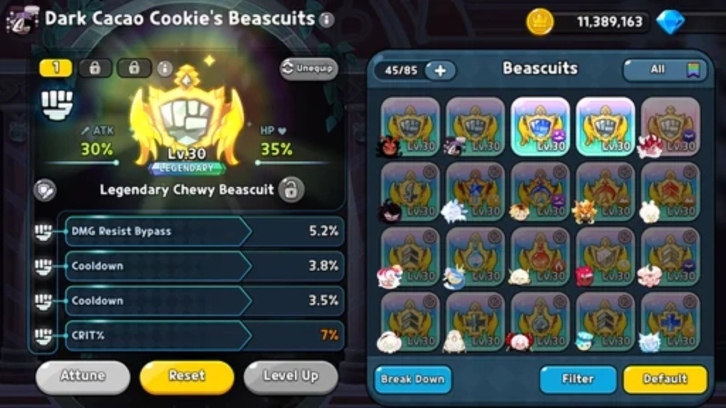 Best Dark Cacao Cookie Beascuits 