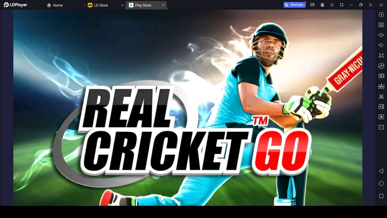 Real Cricket GO