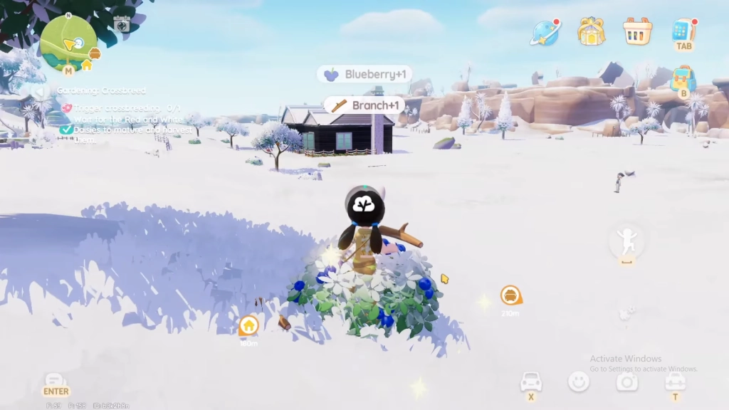 Collect More Items: The Beginner Step