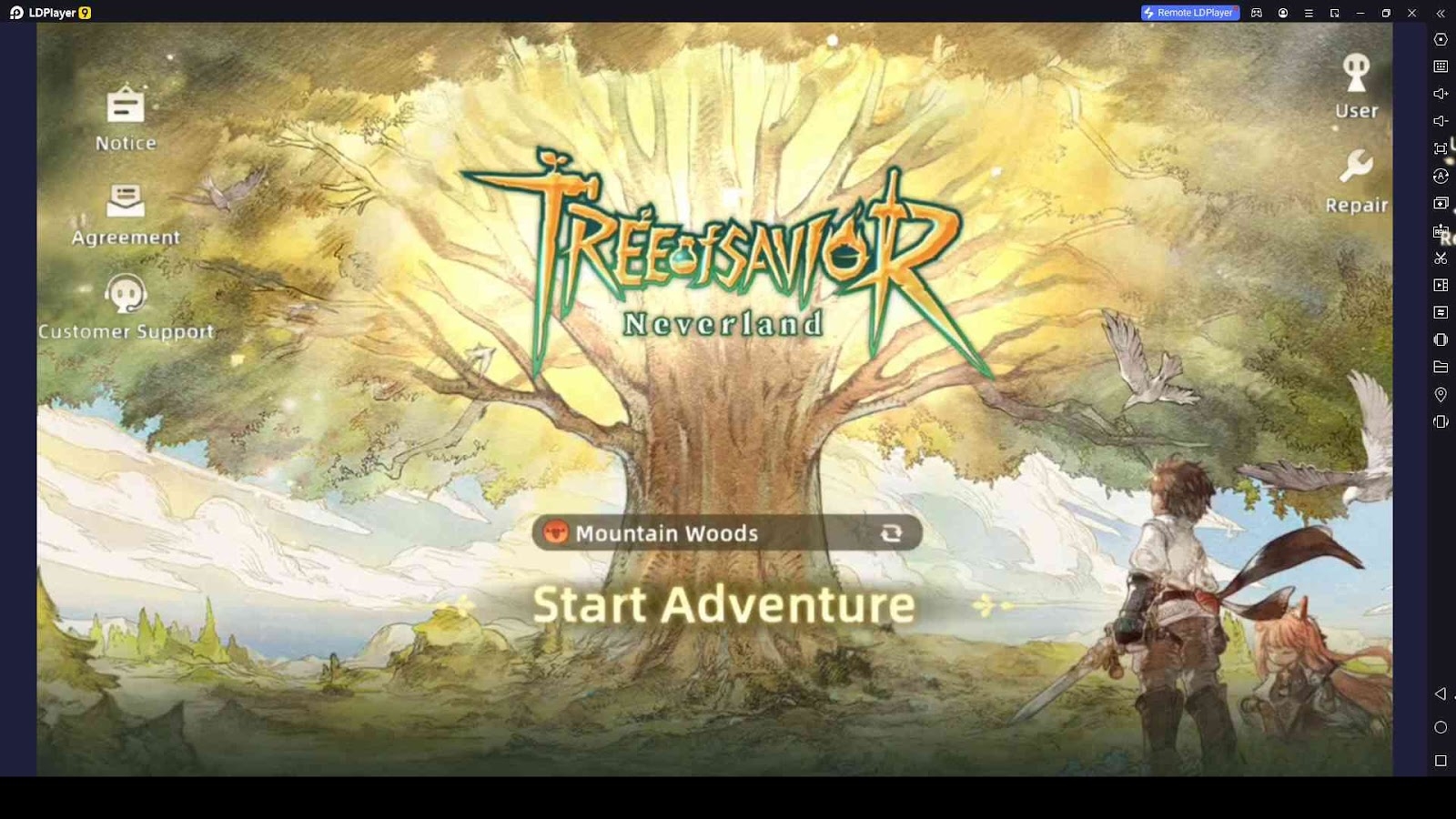 Tree of Savior: Neverland Beginner Guide and Tips