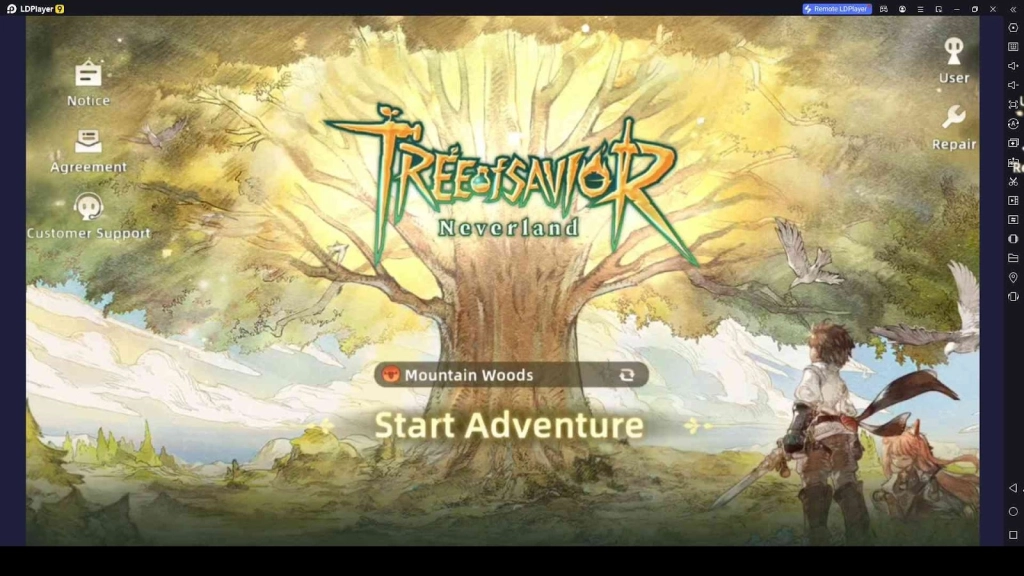 Tree of Savior: Neverland Beginner Guide and Tips