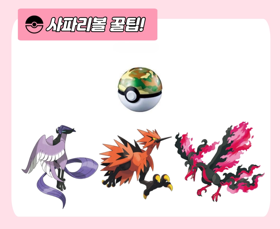 [공략] '포켓몬 고' 와일드 에리어 이벤트 총 정리 및 꿀팁
