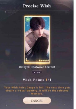 Precise Wish