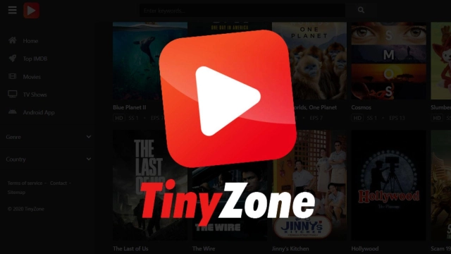 What is TinyZone, Is it Safe: A Review of Guide