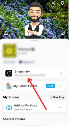 How to Enable the Snapchat Planets