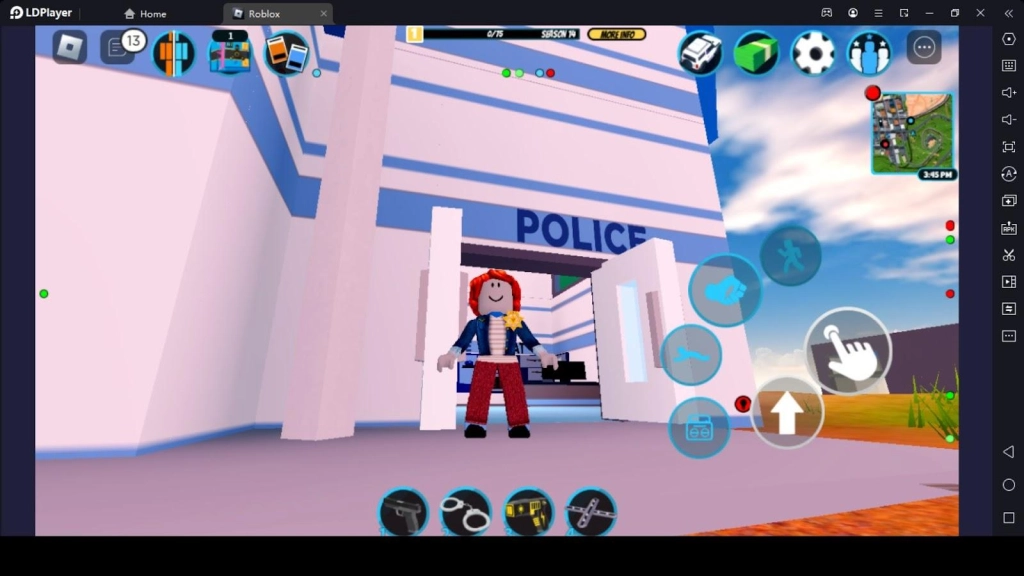 Cop Role Cop Role