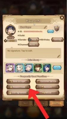 Redeeming Steps of Panilla Saga Redeem Codes