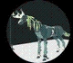 All Creatures in Creatures of Sonaria – Creatures Tier List March 2025