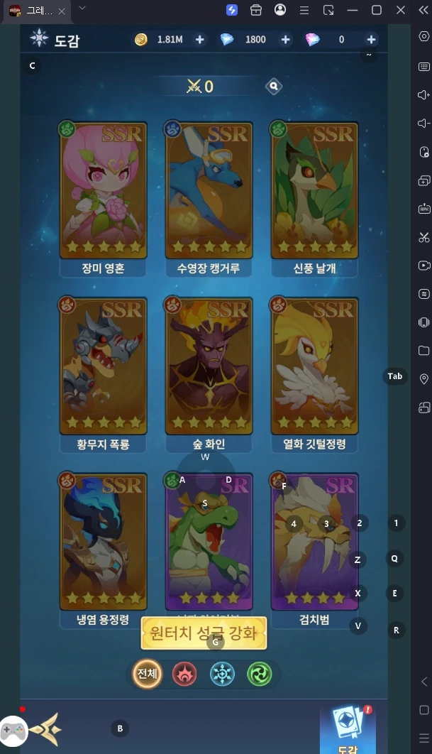  SSR 펫
