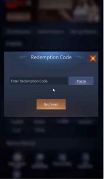 How to Redeem Codes 