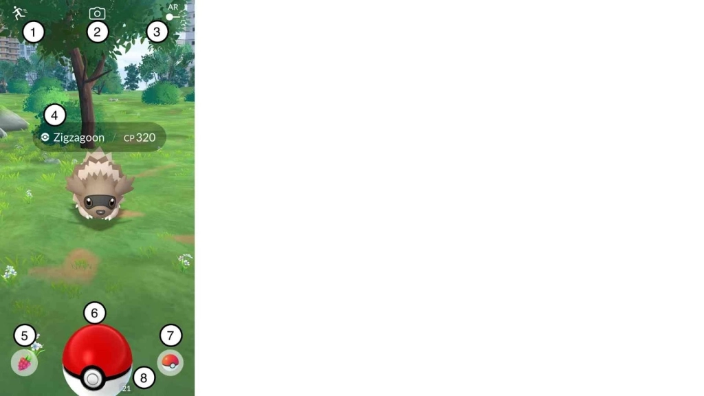 Poké Ball