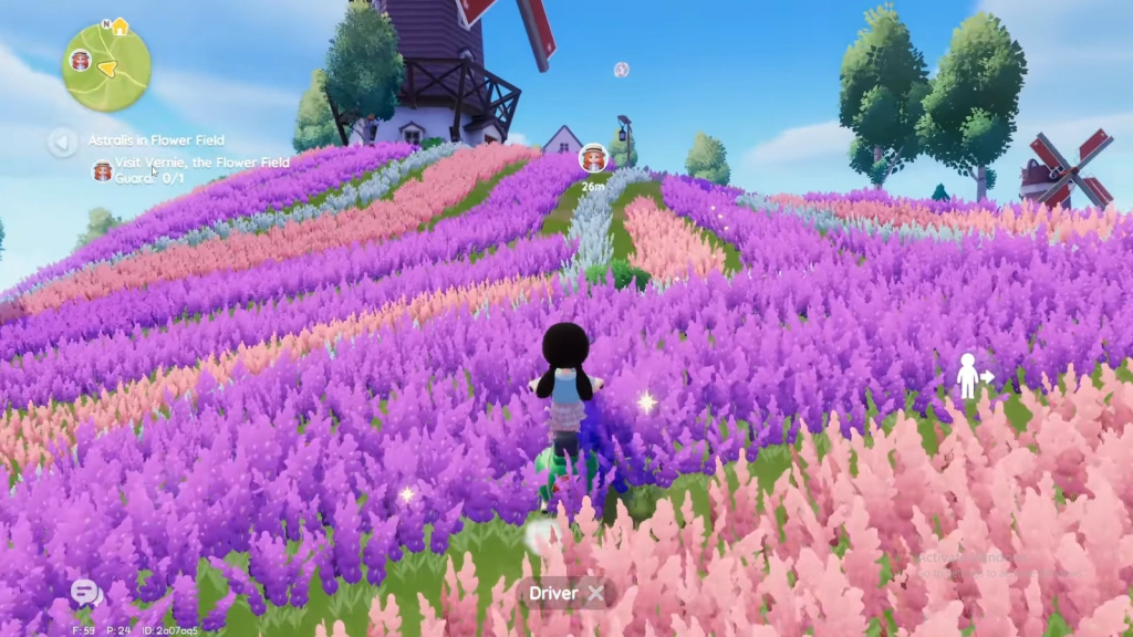 The Beautiful Flower Field The Beautiful Flower Field