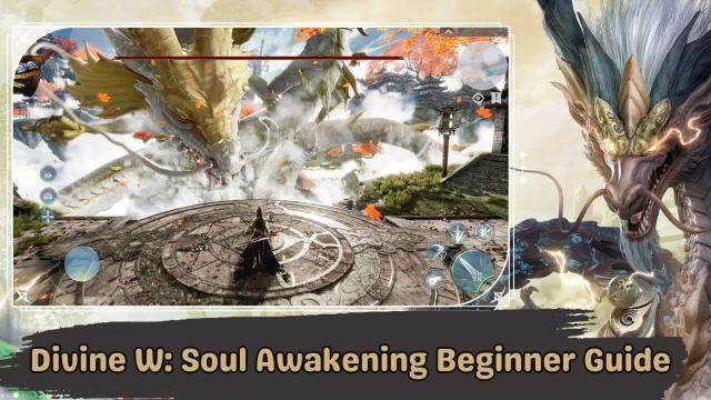 Divine W: Soul Awakening Beginner Guide - Explore the Magical World with Best Tips