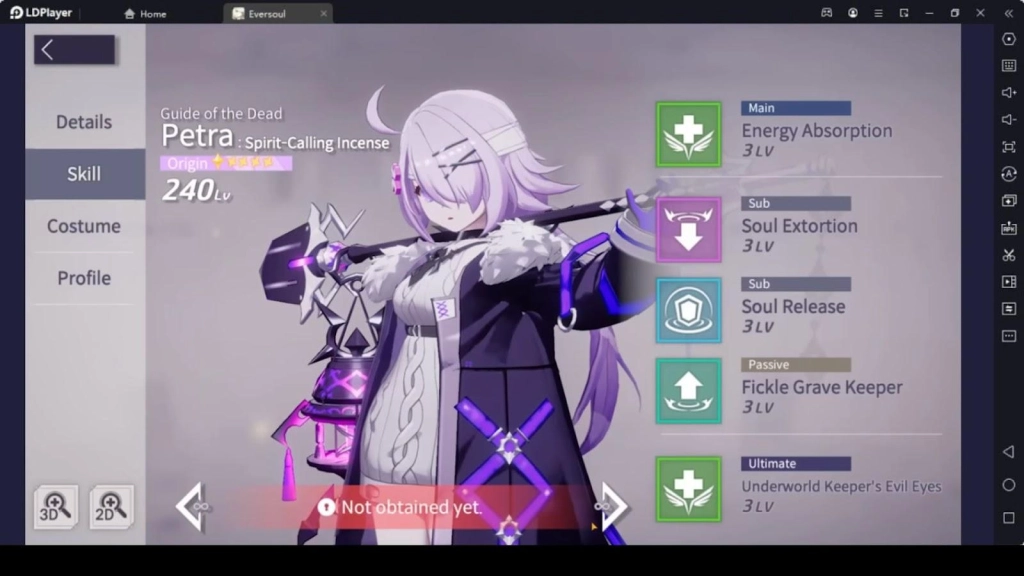 Petra Skills Petra Skills