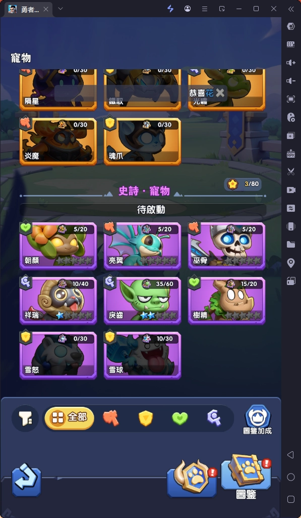 勇者來開團寵物