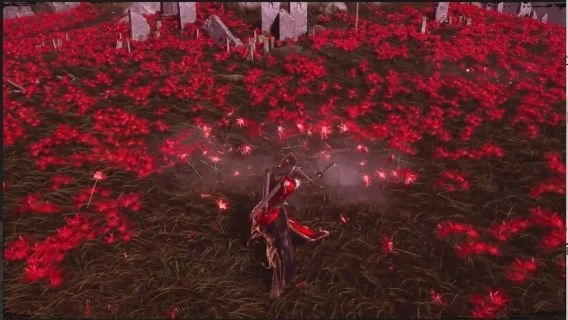 一張含有 花, 螢幕擷取畫面, 紅色, 戶外 的圖片
AI 產生的內容可能不正確。