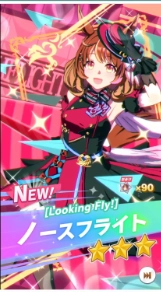 Who is Umamusume: Pretty Derby North Flight Who is Umamusume: Pretty Derby North Flight