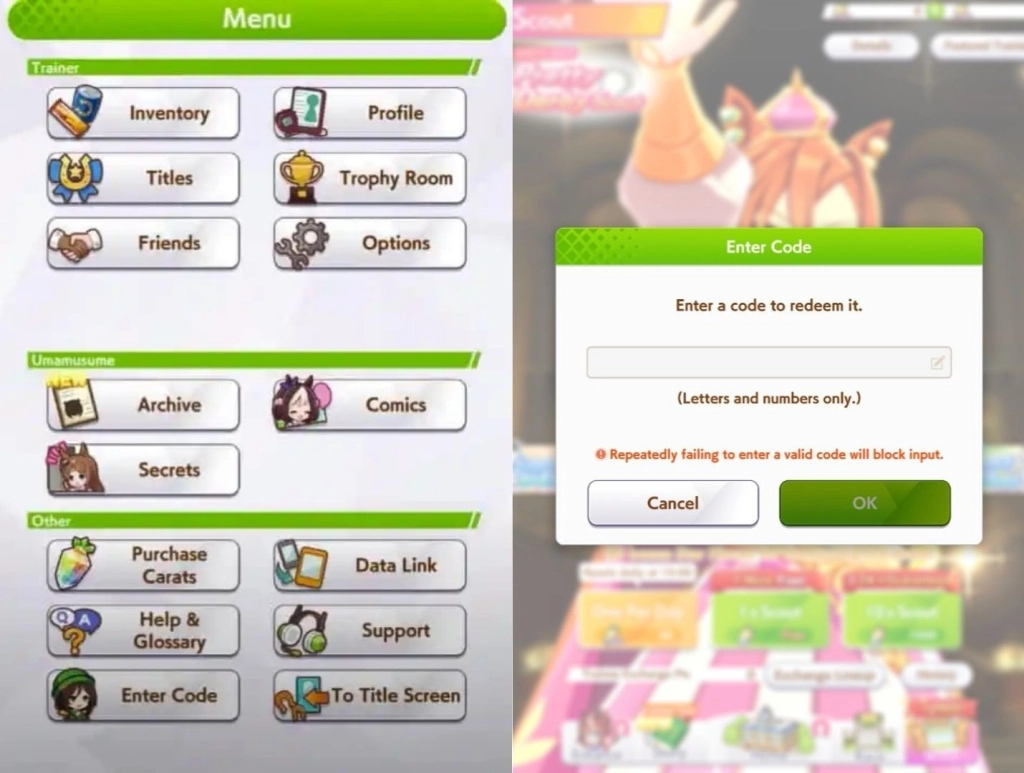 Redeeming Process for the Codes