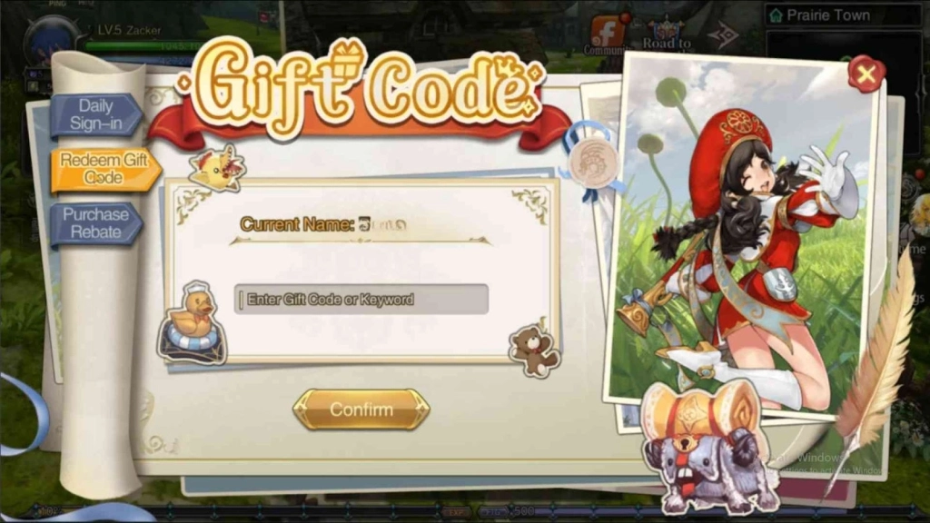 Redeeming Process for the Codes 