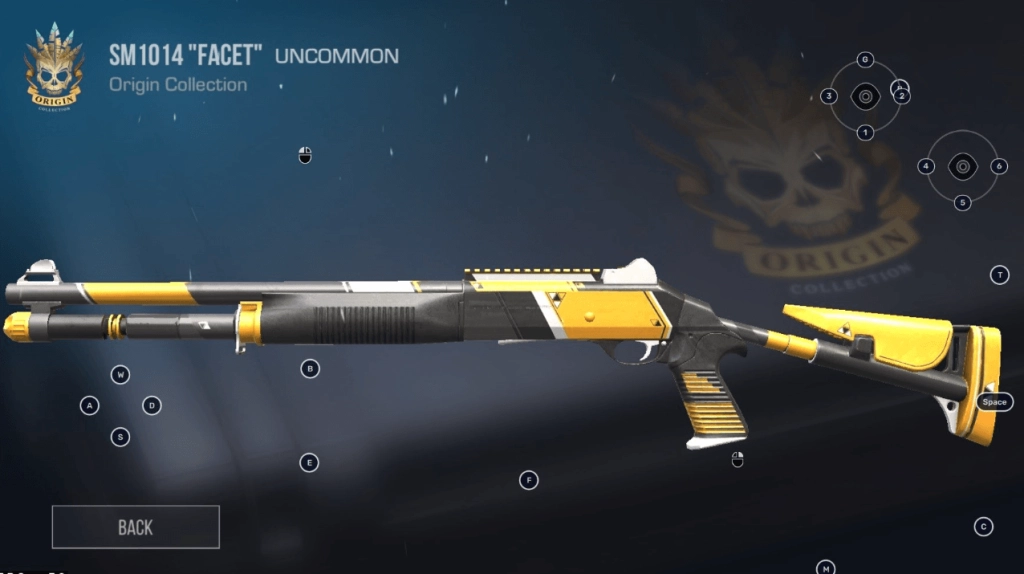 A Rank Weapons