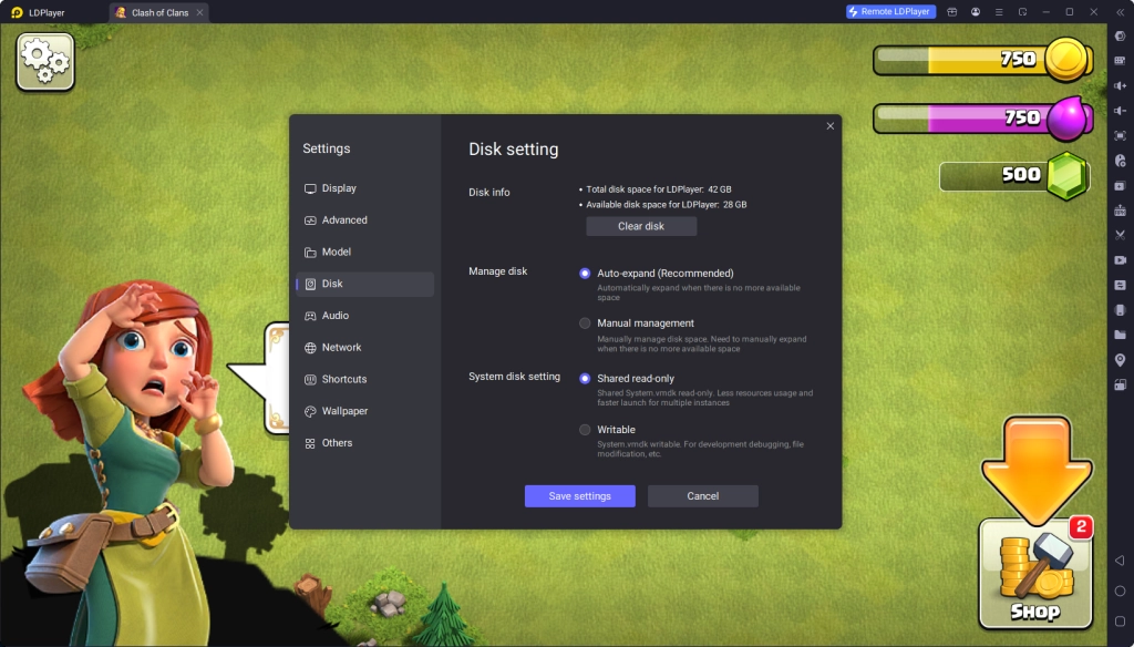 Auto-Expand Disk Auto-Expand Disk