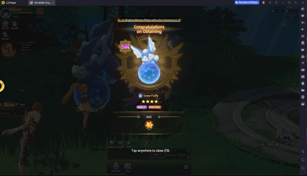 Windrider Origins Review - A MMORPG Experience Worth Your Time?