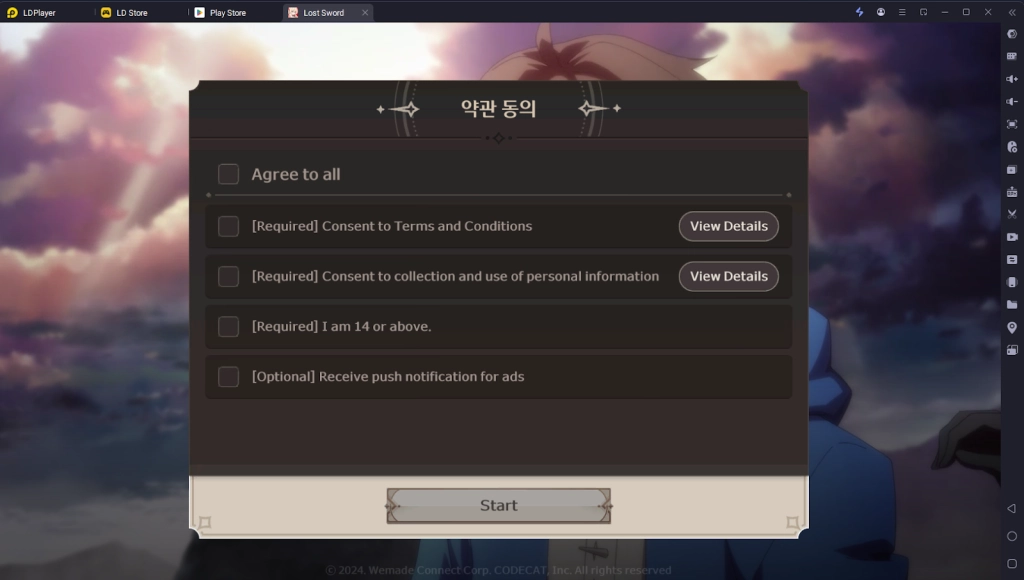 How to Download and Play Lost Sword on PC - Beginners Guide