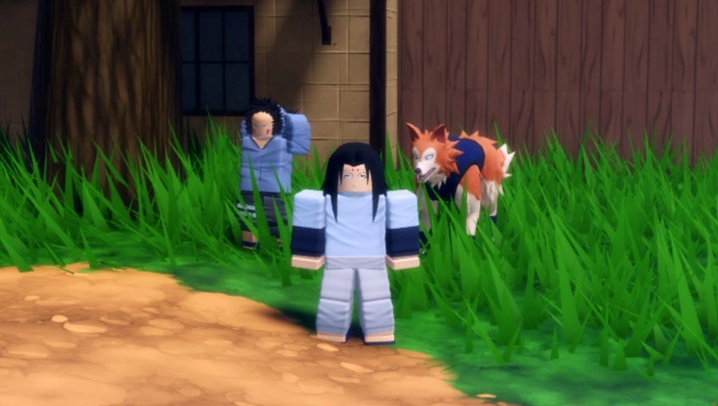 Códigos exclusivos de Ninja Time