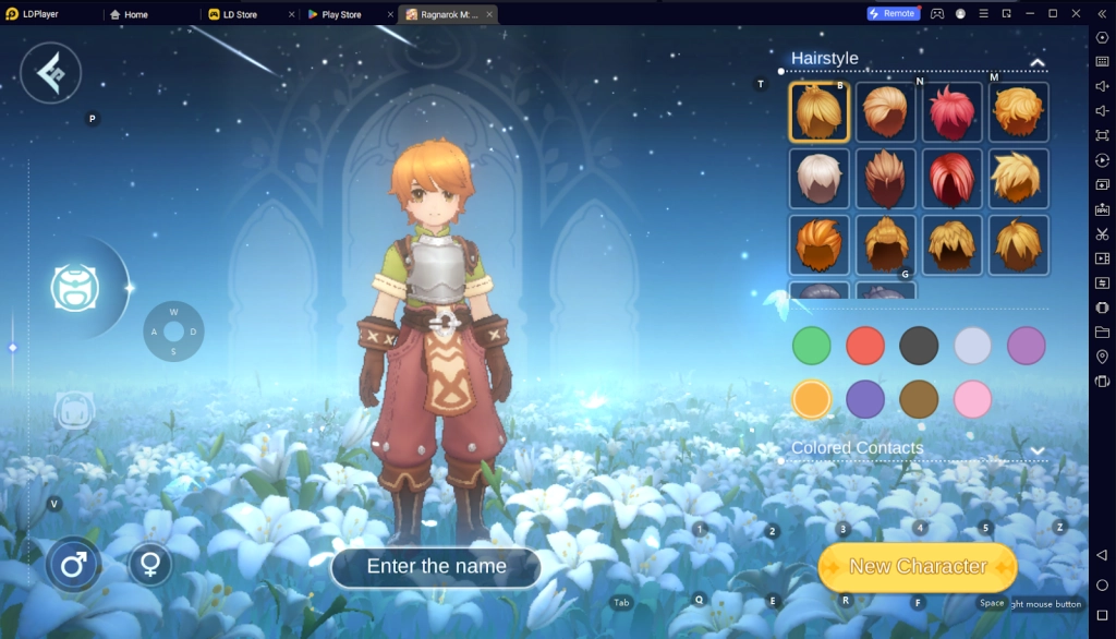 How to Download and Play Ragnarok M: Eternal Love on PC -Beginners Guide