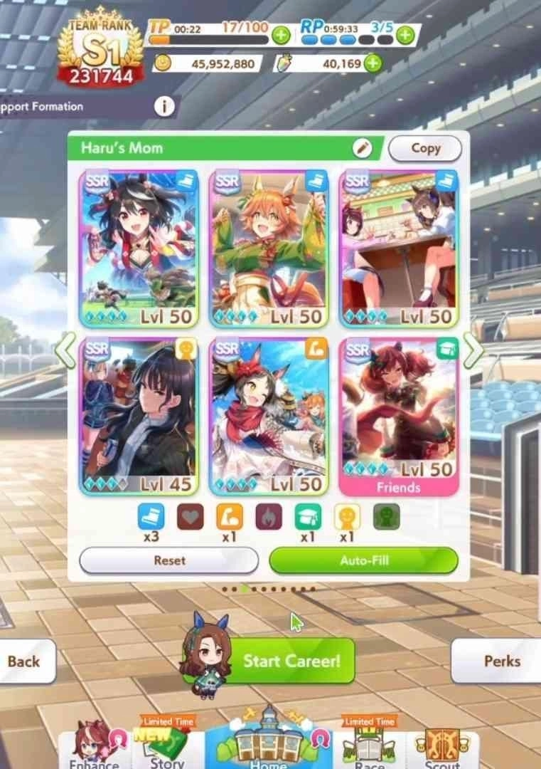 Best Support Card Setup