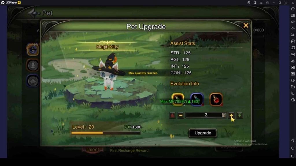 Dragon Nest: Rebirth of Legend Pets and Mounts Guide - Useful Tips
