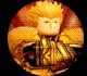 Roblox Anime Dimensions Tier List to Find the Best Characters - March 2025