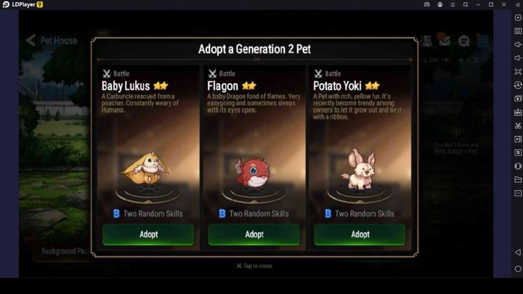 Pet Adoption Ticket 