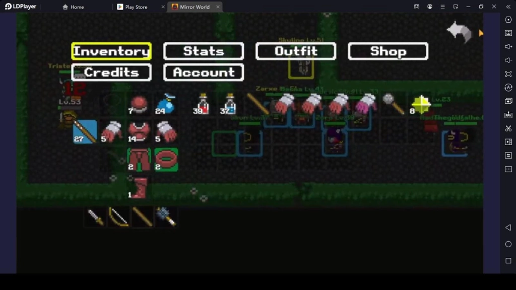 Mirror World Beginner Guide to the Store