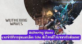 Wuthering Waves แนะนำวิธีการสุ่มและจะเลือก Echo ตัวไหนดีให้เหมาะกับตัวละคร