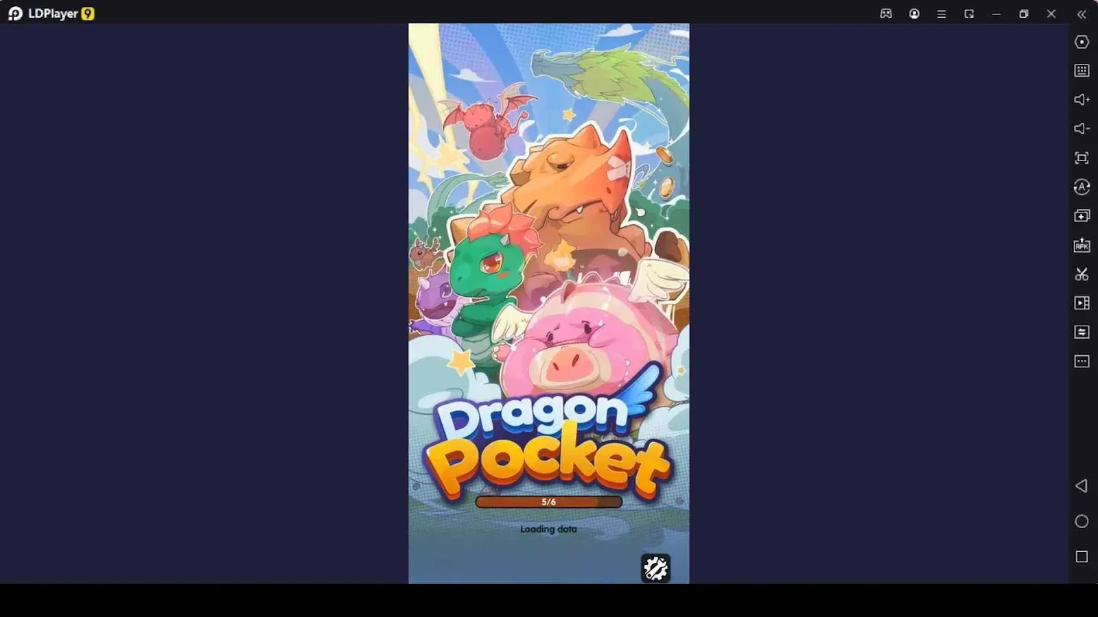 Dragon Pocket Codes