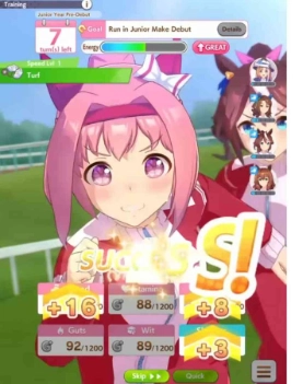 Why Haru Urara Why Haru Urara