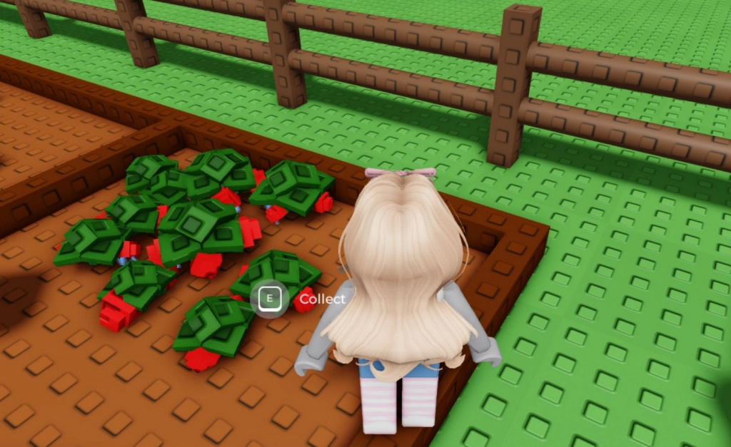 Strawberry Grow a Garden